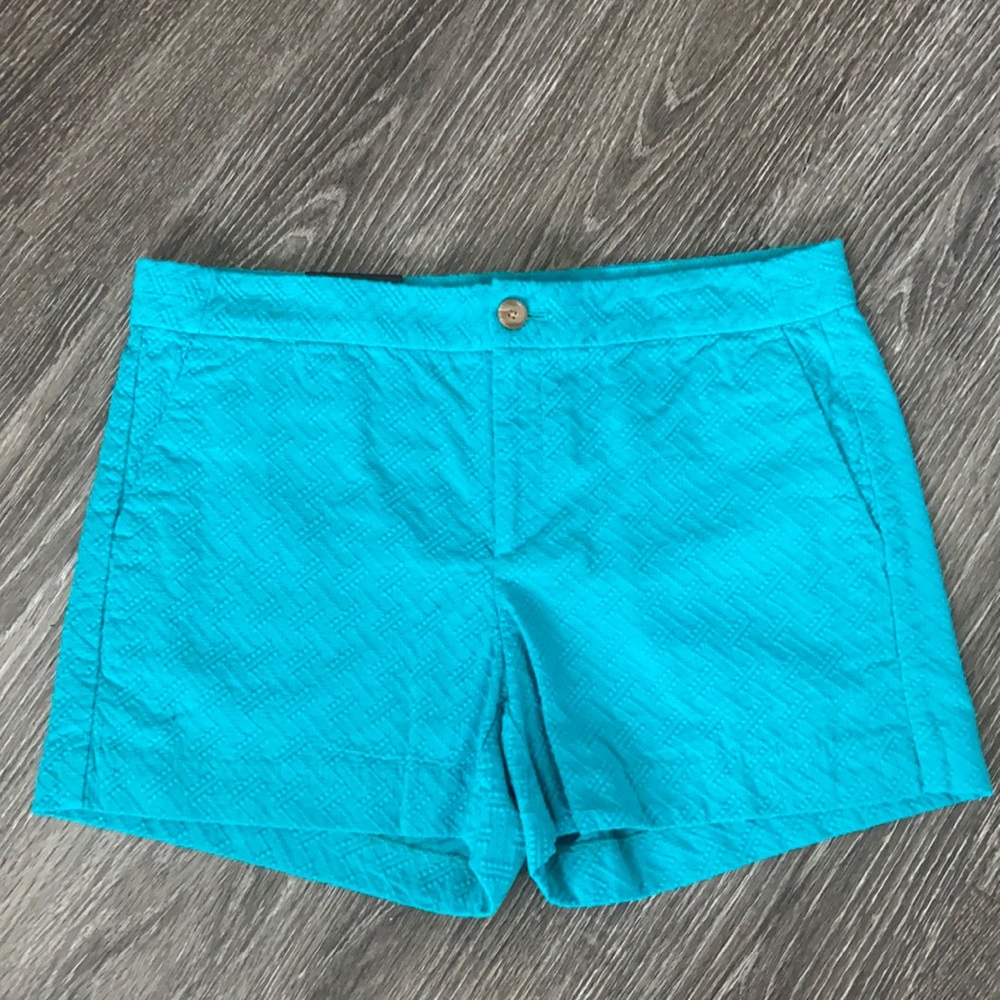 NEW Banana Republic Aqua Hampton Fit Shorts